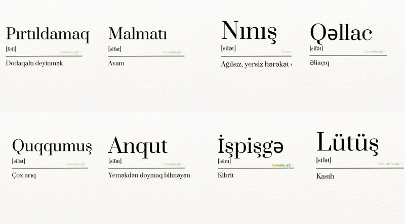 Cəlilabadda işlənən bəzi dialekt sözlər