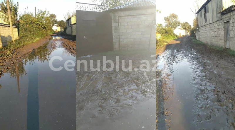 Lənkəranın Boladi kəndində palçıqlı yollar sakinləri təngə gətirib