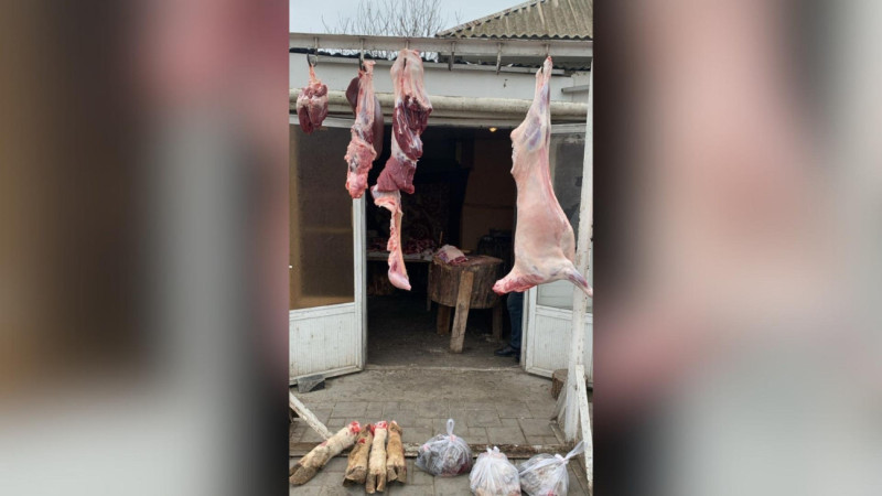 Lənkəranda qanunsuz heyvan kəsiminin qarşısı alındı 