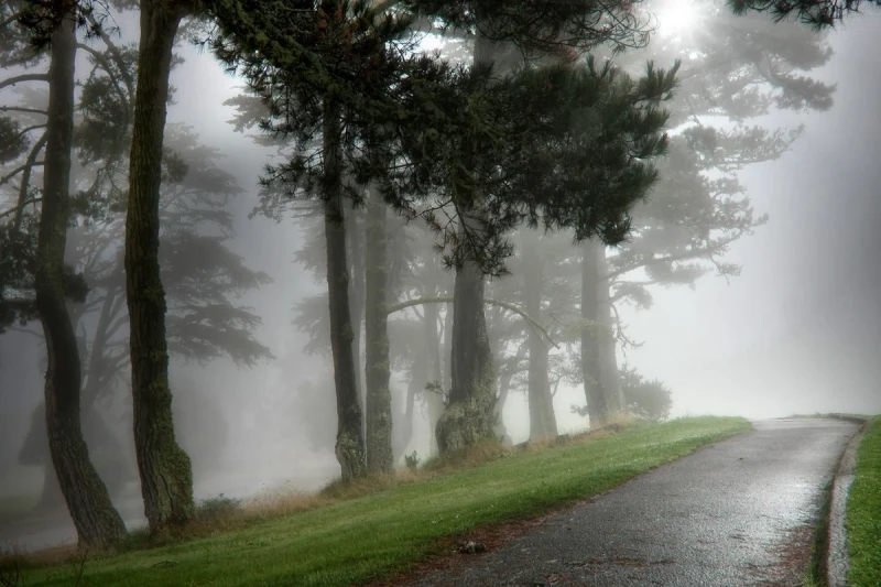 Duman olacaq, külək əsəcək - PROQNOZ