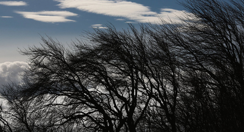 Sabah güclü külək əsəcək - XƏBƏRDARLIQ