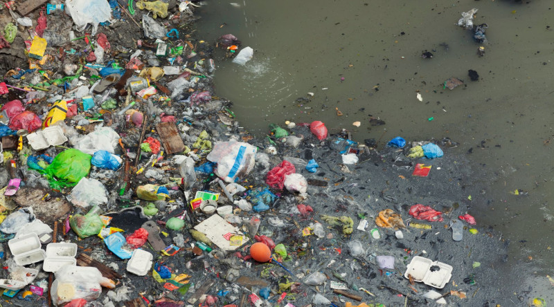 Lənkəranın Xəzər sahili zibil poliqonuna çevrilib - VİDEO