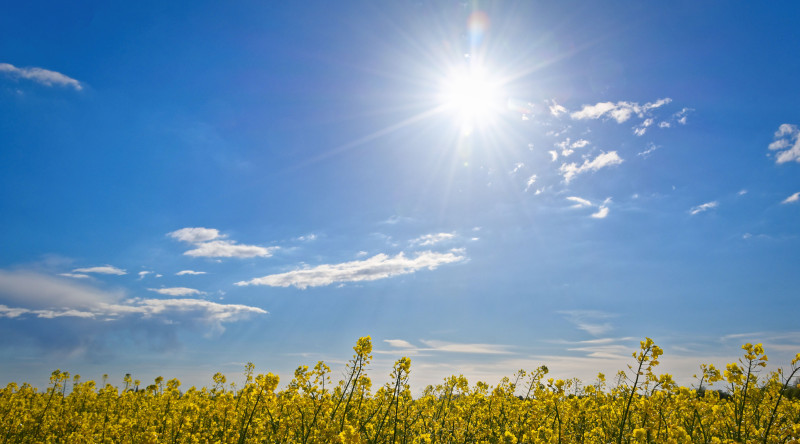 Sabah hava necə olacaq? 