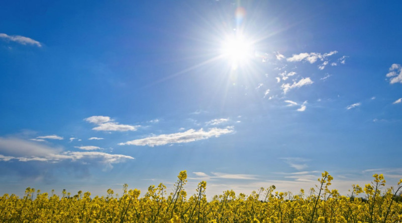 Gələn həftə havanın temperaturu 30 dərəcəyədək yüksələcək