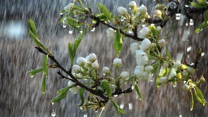 Hava kəskin dəyişəcək, temperatur 18 dərəcə enəcək - XƏBƏRDARLIQ