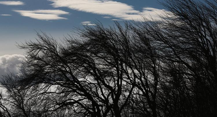 Külək əsəcək, dolu düşəcək - PROQNOZ