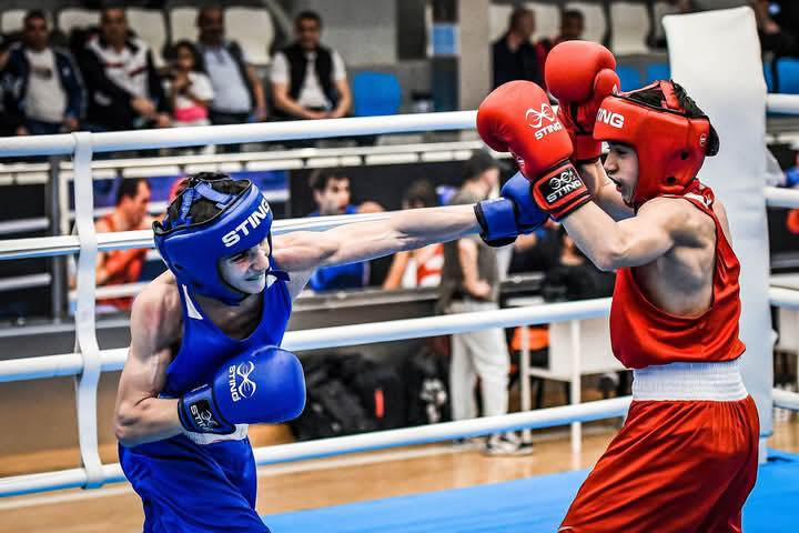 Cənublu boksçulardan yüksək nəticələr - FOTO