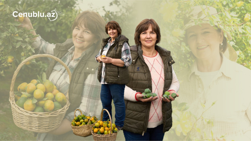 “İşimizin bəhrəsini görmək mənim üçün ən böyük mükafatdır” - Lənkəranlı fermer xanımla ÖZƏL MÜSAHİBƏ