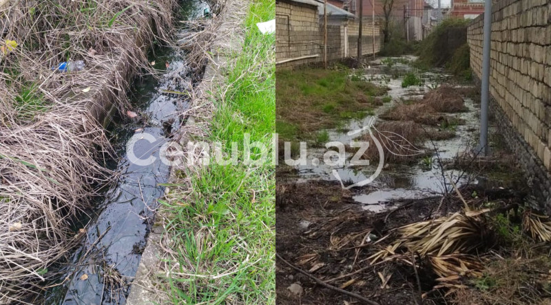 Lənkəranda bərə üfunət saçır - FOTO