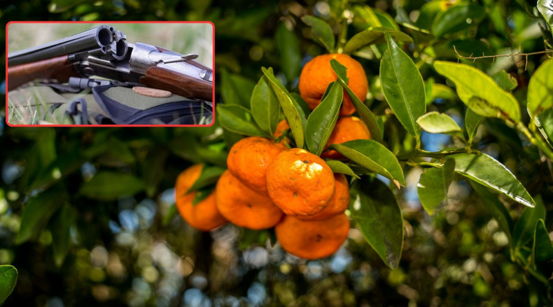 Astarada naringiyə görə oğlunu güllələyən CƏZALANDIRILDI