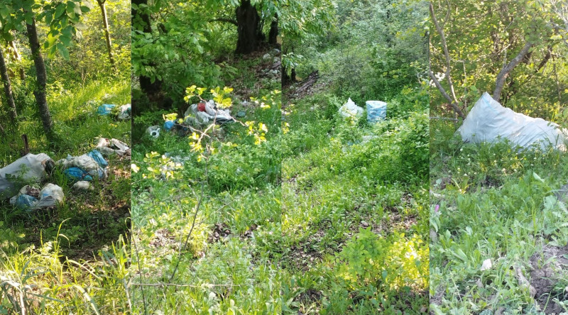 Yardımlının kəndində meşə zibilxanaya çevrilib