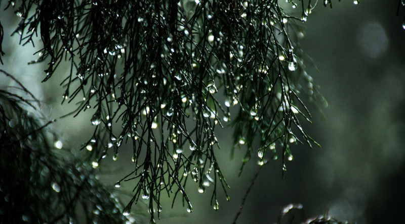 Hava şəraiti ilə bağlı əhaliyə müraciət edildi
