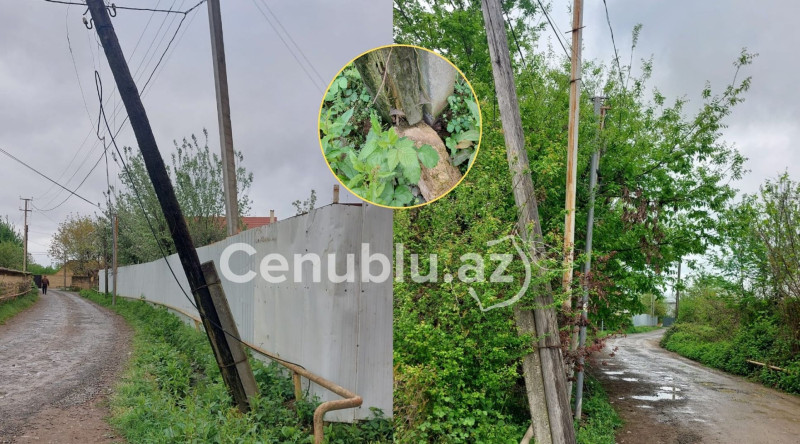 Lənkəranlılar təhlükəli dirəklər haqda: “Gözləyirlər ki, bədbəxt hadisə baş versin?”