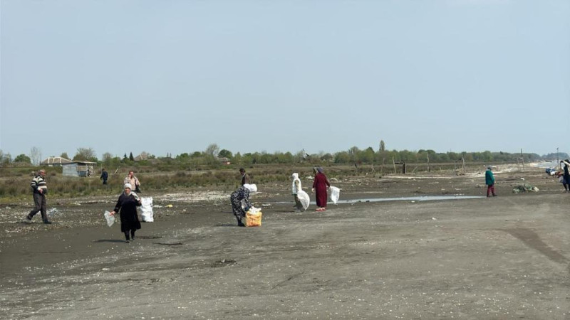 Lənkəranda ekoloji aksiya keçirilib - FOTO