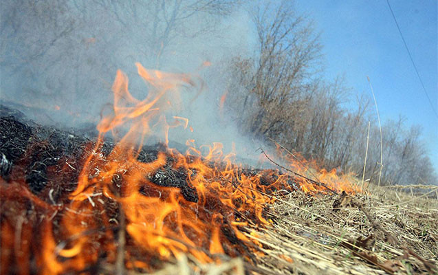Astarada yanğın olub 