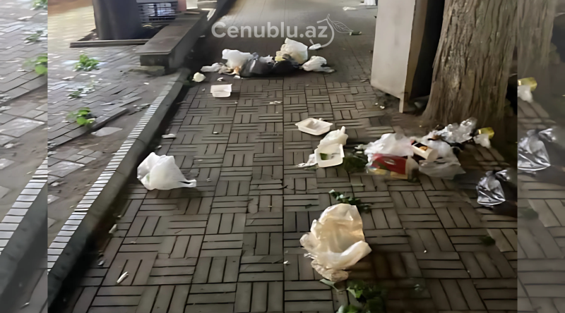 Lənkəranın mərkəzində antisanitar vəziyyət