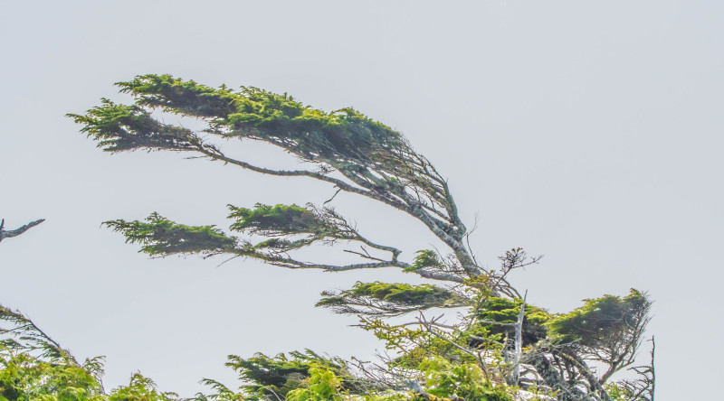 Cənubda FAKTİKİ HAVA