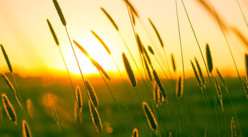 Sabah 28 dərəcə isti olacaq - PROQNOZ