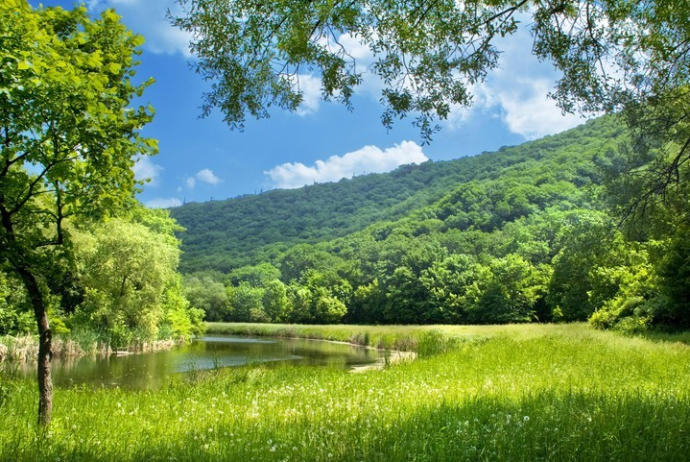 Azərbaycana yay fəsli daxil olub