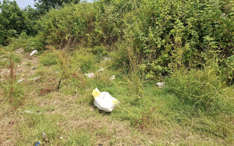 Ətraf mühiti çirkləndirən kameraya düşdü, cərimələndi