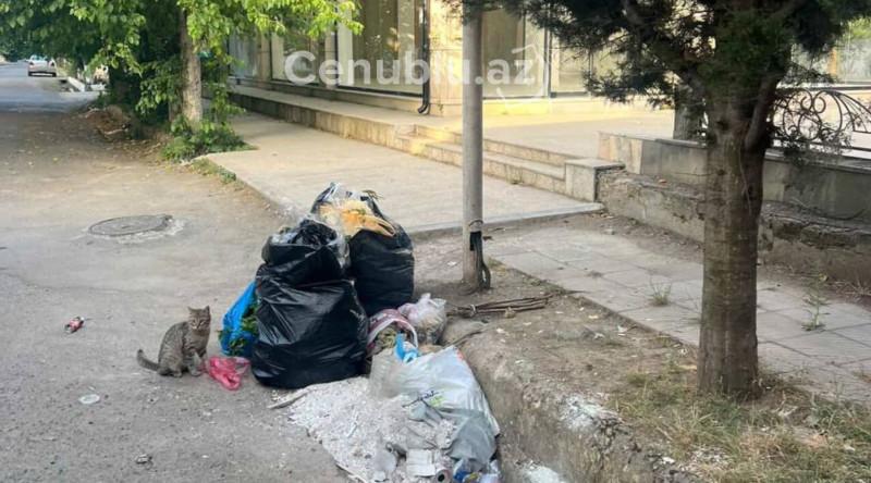 Lənkəranda zibil qutuları yoxa çıxıb