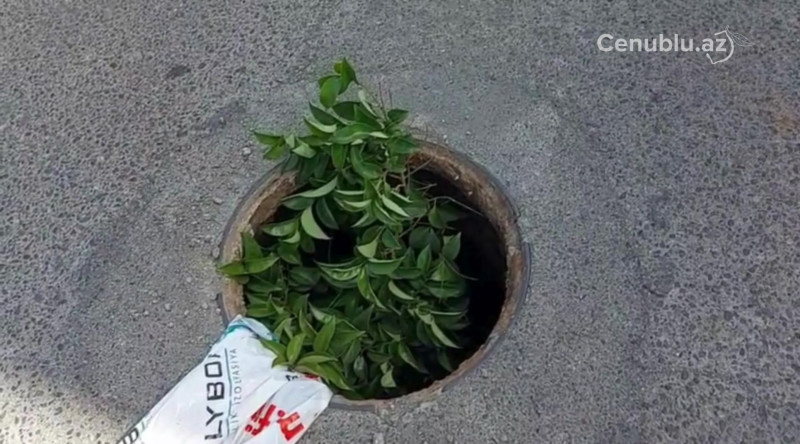 Lənkəranda yolun ortasında təhlükə - ŞİKAYƏT + VİDEO