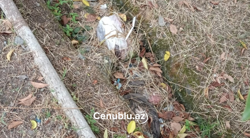 Lənkəranda xəndəklərin təmizlənməsinə ehtiyac var - ŞİKAYƏT