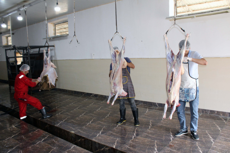 Lənkəranda da xüsusi ət kəsimi məntəqəsi fəaliyyət göstərir - VİDEO