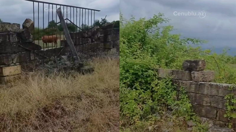 Astarada qəbiristanlıqda sahibsizlik hökm sürür - VİDEO