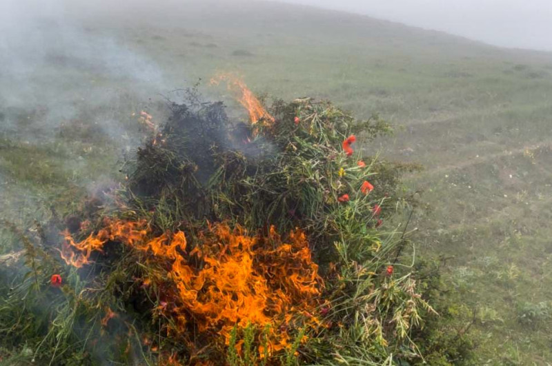 Sabah 34 dərəcə isti olacaq - PROQNOZ