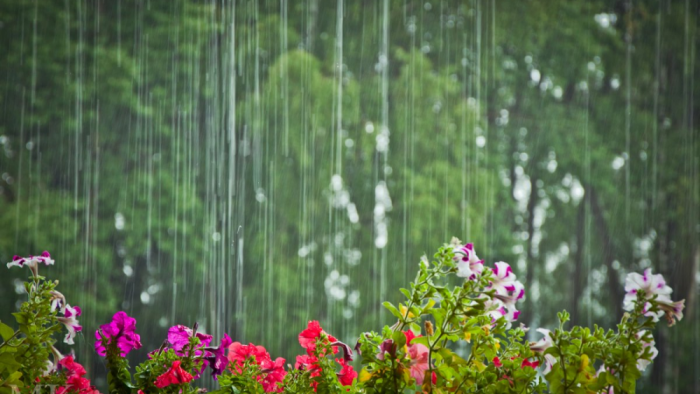 Sabah yağış yağacaq