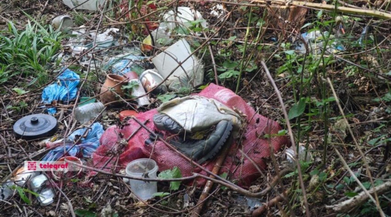 Masallıda meşə massivi gizli şəkildə çirkləndirilir - FOTO