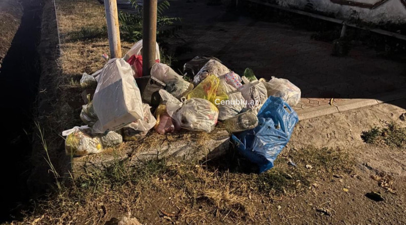Lənkəranda Heydər Əliyev prospektində baxımsızlıq: Sakinlər narazıdır
