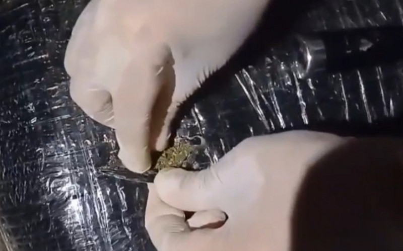 Biləsuvarda narkotik dövriyyəsində şübhəli bilinən şəxs həbs olunub