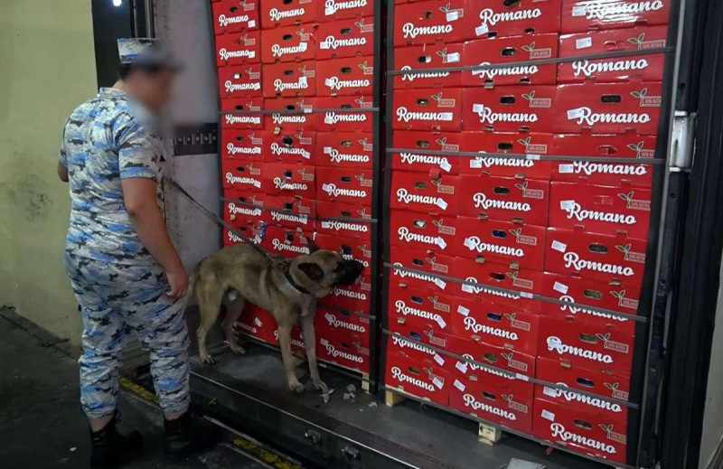 Gömrükçülər 30 kiloqramdan artıq narkotik aşkar ediblər