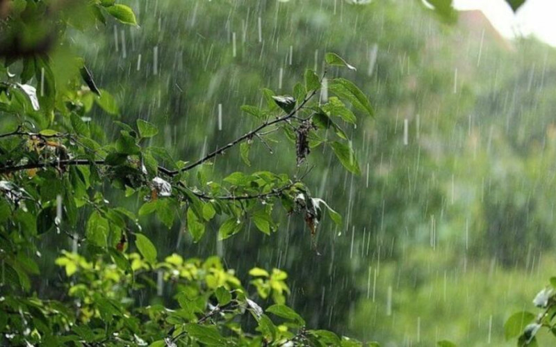 Faktiki hava açıqlanıb