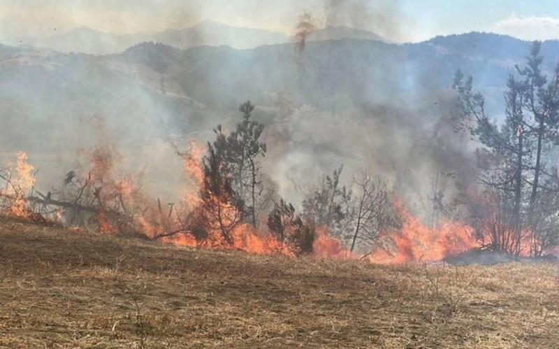 Cəlilabadda yanğın törədən şəxs cəzalandırılıb