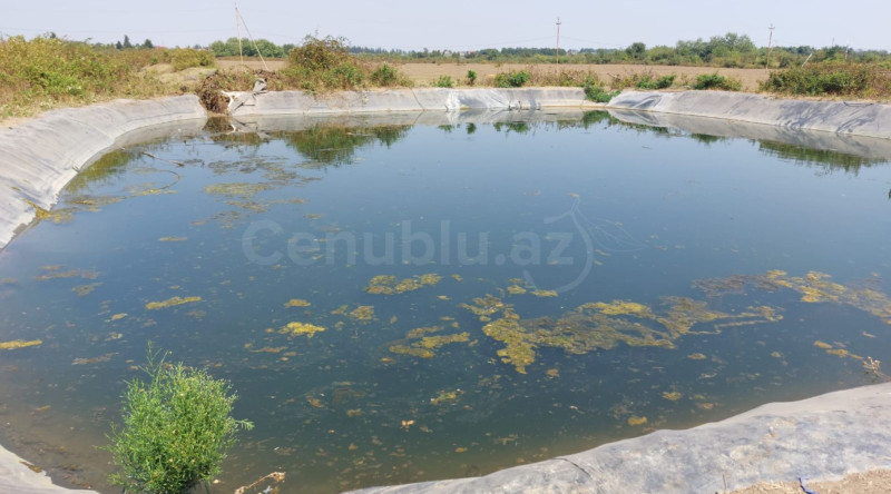 Lənkəranda yeniyetmə boğularaq ölüb