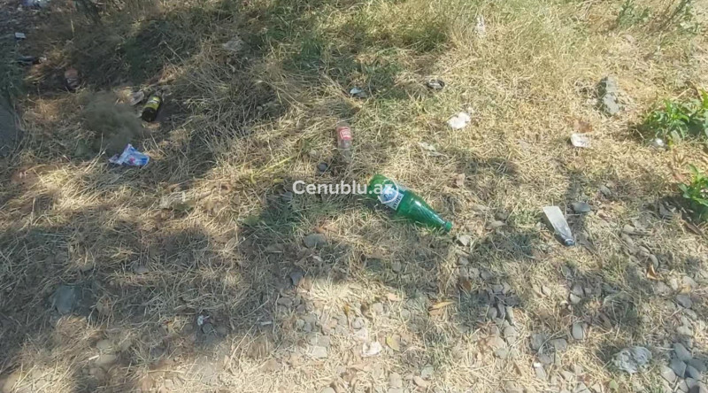 Lənkəranın Dəhnə yolu yenidən zibillənir - VİDEO