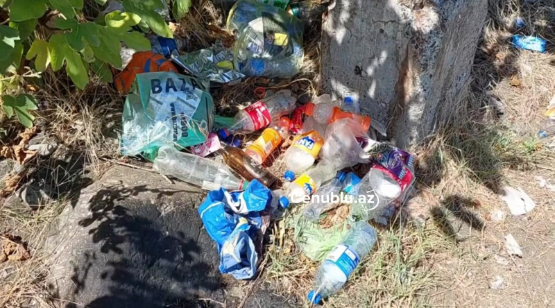 Lənkəran sahilləri zibilliyə çevrilir - VİDEO