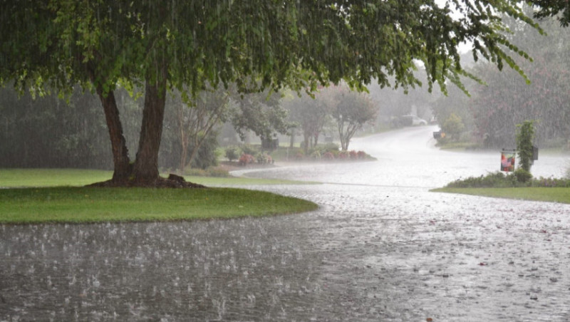 Sabah bəzi yerlərdə yağış yağacaq