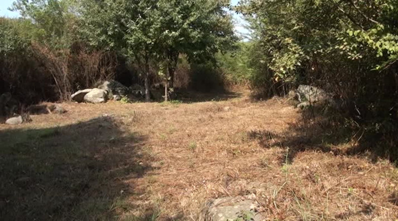 Qızılağac Milli Parkında yanğın