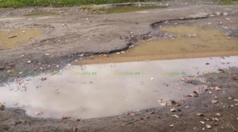 Lənkəranın kəndində yol problemi