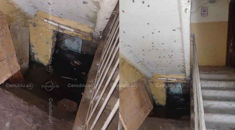 Lənkəranda binanın zirzəmisi baxımsız vəziyyətdədir