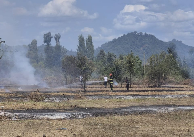 Lənkəranda yanğın törədən şəxs məsuliyyətə cəlb edilib
