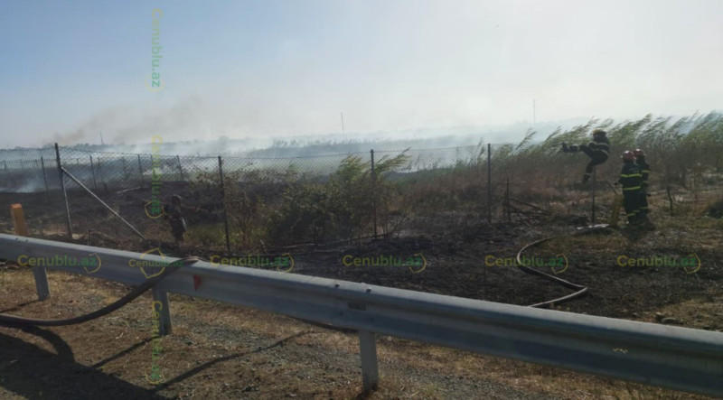 Yeni Ələt–Astara magistralında yanğın - VİDEO