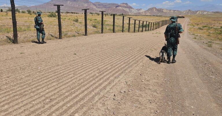 Sərhədi qanunsuz keçən Əfqanıstan vətəndaşları həbs olunub