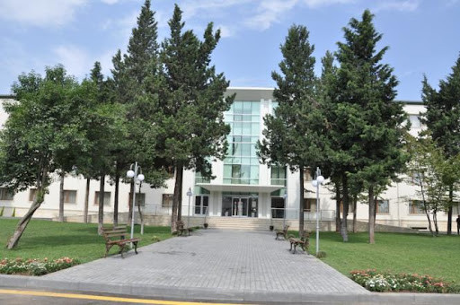 Lənkəranda xəstələr günlərlə KT nəticələrini ala bilmirlər -VİDEO