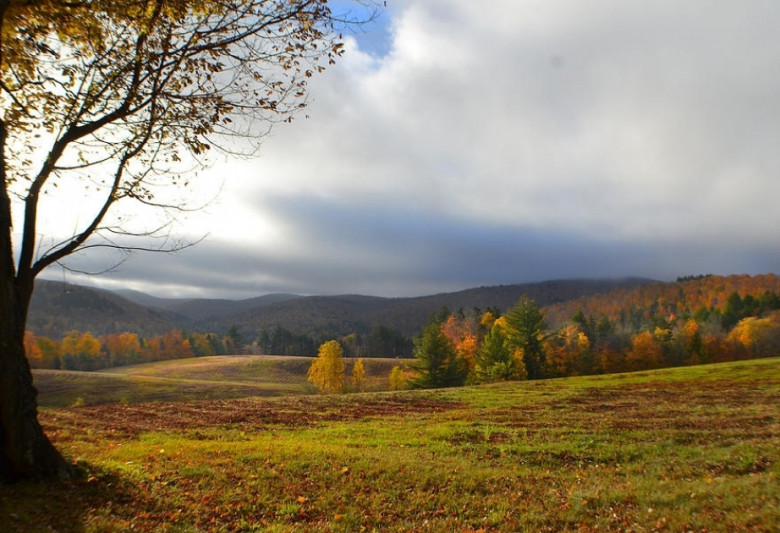 Sabah hava necə olacaq?