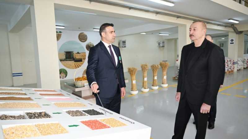 Prezidenti İlham Əliyev Sabirabad Sənaye Məhəlləsində toxum istehsalı müəssisəsinin fəaliyyəti ilə tanış olub - FOTO